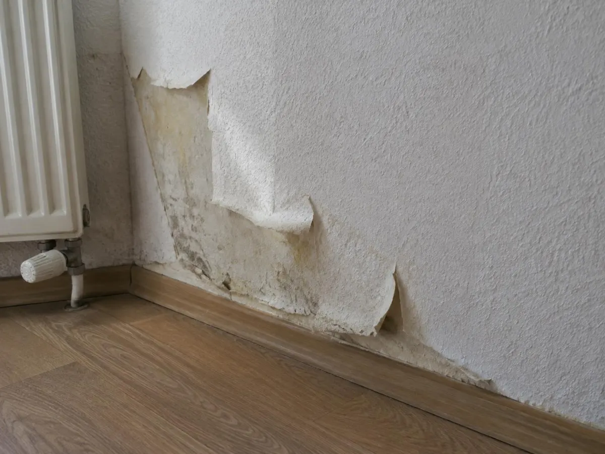 Raufasertapete, die sich im unteren Bereich einer Innenwand neben einem Heizkörper ablöst, darunter gelbliche Flecken