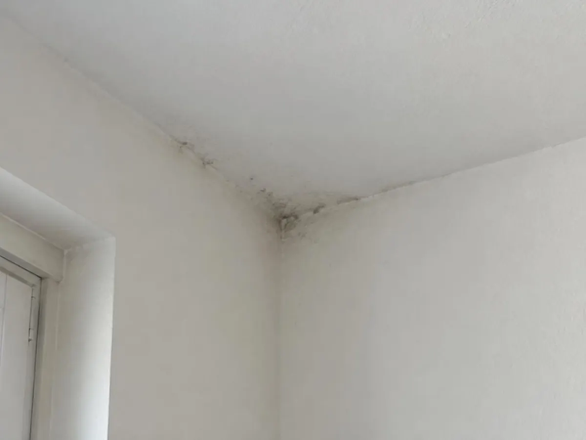 Obere Raumecke an einer Außenwand mit kleinen grauen Flecken am Übergang zur Decke