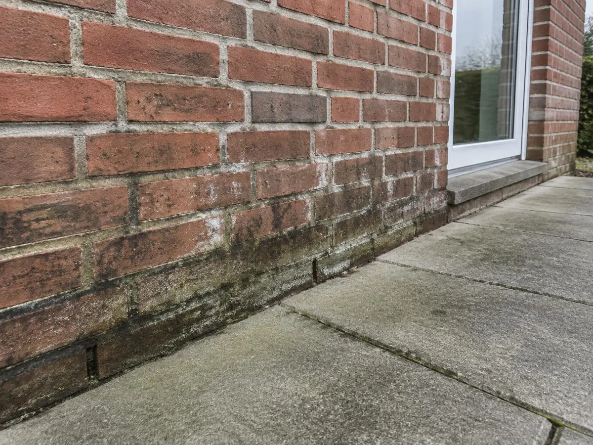 Klinkerfassade mit dunklen Verfärbungen, Bewuchs und weißen Ablagerungen in den untersten Steinreihen über einer Terrasse