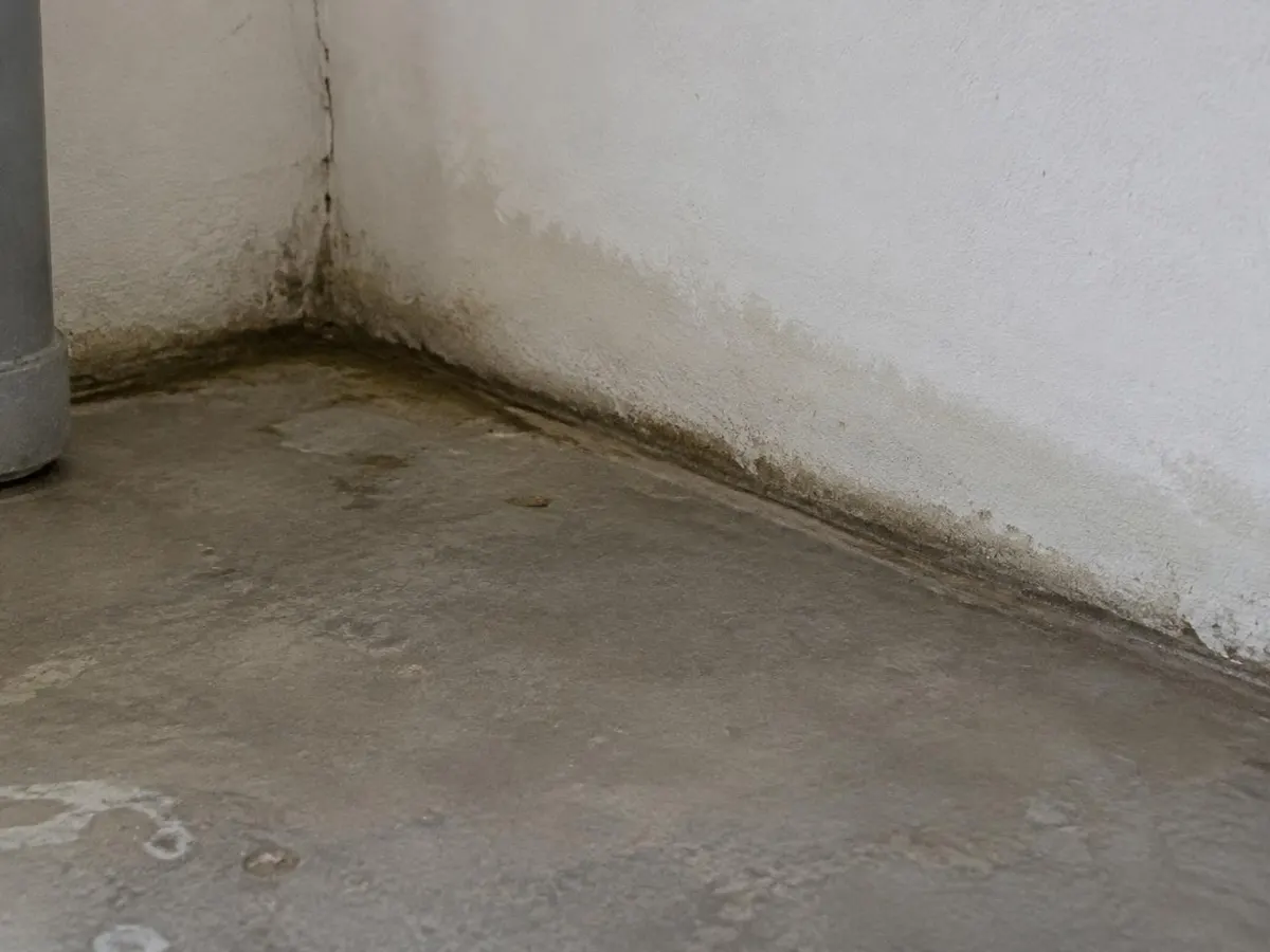 Dunkler Feuchtestreifen entlang des Übergangs zwischen gestrichener Kellerwand und Betonboden